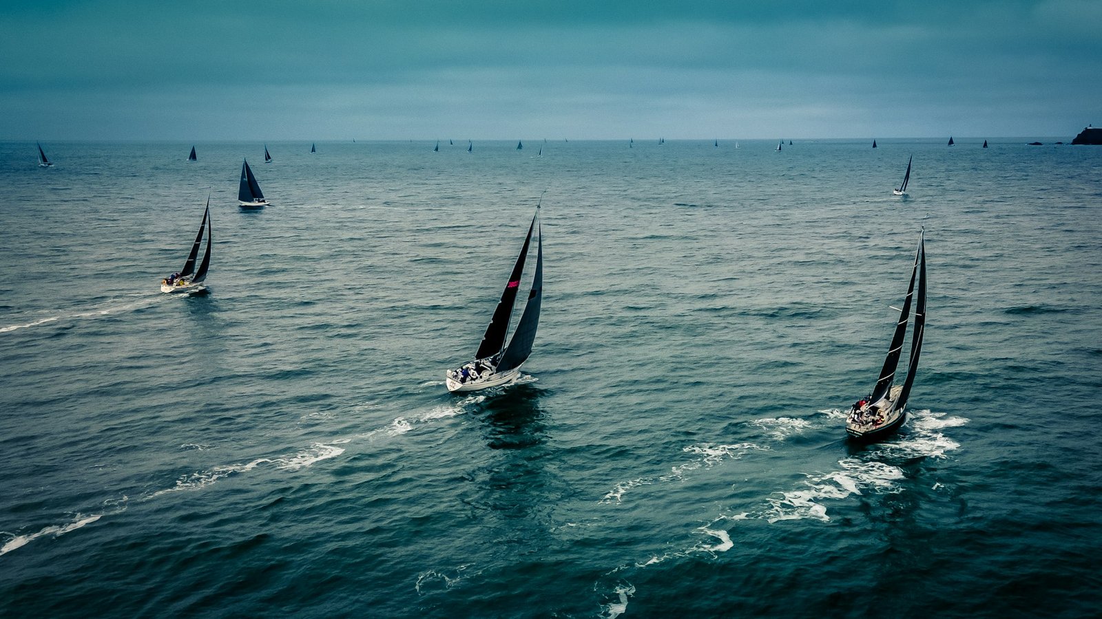 Sailboats racing at sea